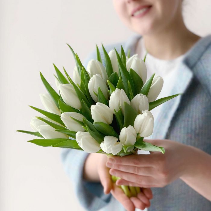 21 белоснежный тюльпан